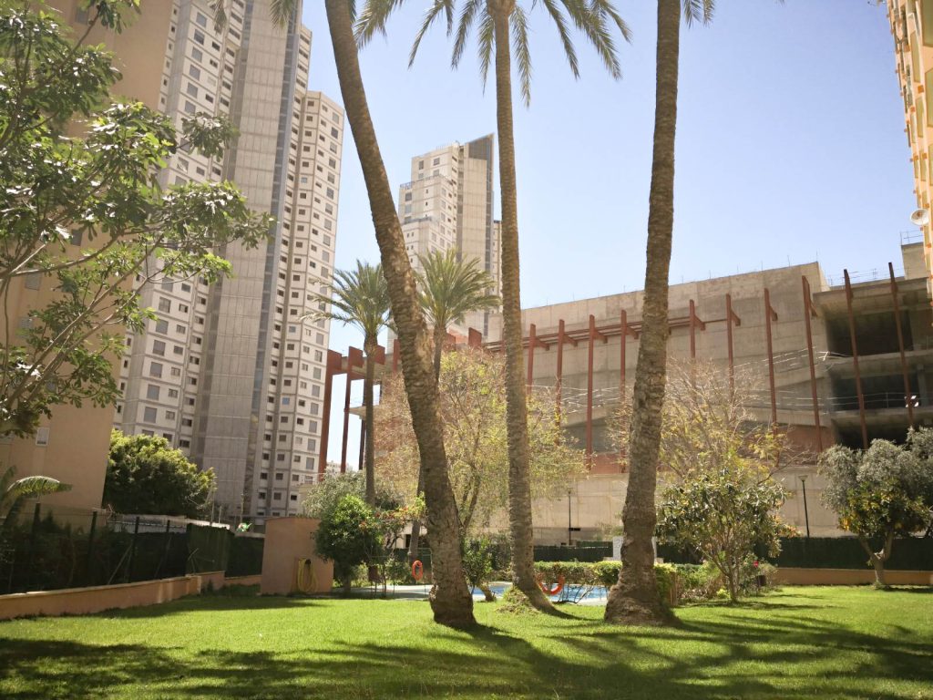Zona de césped junto a la piscina del apartamento en Benidorm (comunidad)